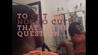 40 To Cut or Not to Cut That is the question [upl. by Joslyn873]