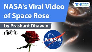 NASAs Viral Video of Space Rose shorts [upl. by Harle323]