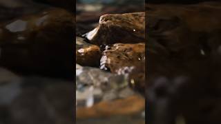 Mesmerizing dripping water 💧 relaxing [upl. by Monjo]