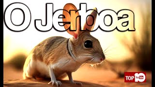 O jerboa menor [upl. by Ecenahs]