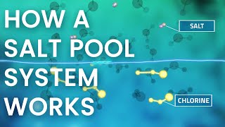 How Does a Pool Salt System Work  In 60 Seconds [upl. by Hanej]