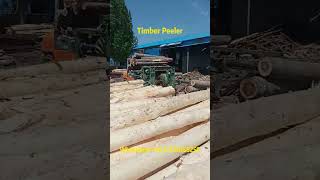 Precise debarking wood grain presentation Wood debarker operation demonstration 🌲🔧 woodworking [upl. by Nolham]