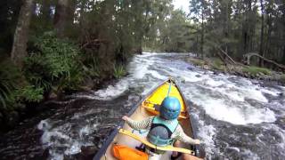 MANNING RIVER Whitewater canoeing OC1 amp OC2 with kids [upl. by Briggs28]