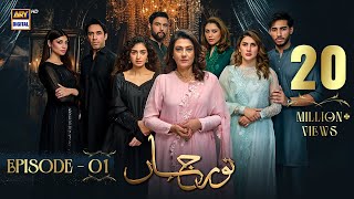 Noor Jahan Episode 1  25 May 2024 English Subtitles  ARY Digital Drama [upl. by Chipman165]