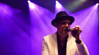 The Dualers  Kiss on the Lips  Ska Reggae Live at Chepstow Castle  2018 [upl. by Ahsytal]