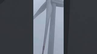 Windmill wind turbine farm Pakistan greenenergy foryou renewableenergy 10mviews shortvideo fyp [upl. by Anoyek]