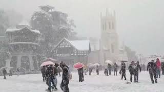 Continuous snowfall continues in Shimla drop in temperature recorded [upl. by Melesa]