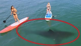 5 Scary Things Caught on Camera By Drones  GoPro Karma [upl. by Aciraa]