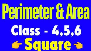 ⏹️Find the side of the square whose perimeter is 20 m  Perimeter class 4 amp 5  class 5 maths [upl. by Atsocal]