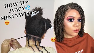 How To Do Mini Twists On Natural Hair As A Protective Style  No Added Hair Needed DETAILED [upl. by Eissen]