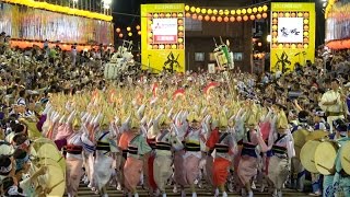 【特別席で見る総踊り】徳島市阿波おどり2016南内町演舞場（初日）【4k】 [upl. by Base]