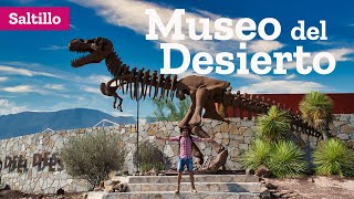 Museo del Desierto en Saltillo Coahuila [upl. by Spike]