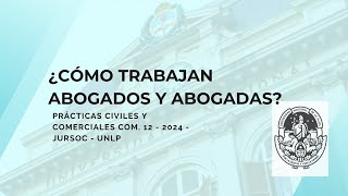 ¿Cómo trabajan abogados y abogadas [upl. by Allehs]