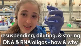 Resuspending diluting amp working with DNA amp RNA oligos primers you order etc [upl. by Kcuhc]