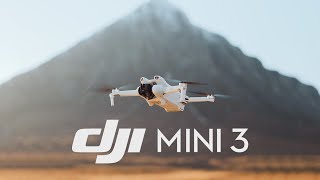 DJI Mini 3 PRO vs DJI Mini 3  Whats The Difference [upl. by Marylynne]