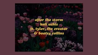 After The Storm  Kali Uchis ft Tyler The Creator amp Bootsy Collins lyrics [upl. by Erie]