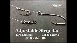 Easy knot for Sliding or Adjustable Strip Baits [upl. by Llebpmac]