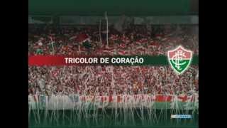 Montagem  Fluminense Campeão 2012 FunkBonito [upl. by Nahtnaoj]