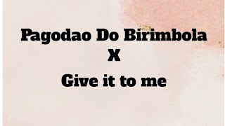 PAGODAO DO BIRIMBOLA X GIVE IT TO ME  TIKTOK COMPILATION [upl. by Nimzaj333]