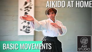 Aikido At Home Training  Follow Along  Basic Movements  Beginner Friendly [upl. by Madalyn]