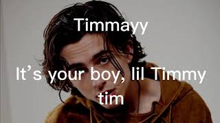 STATISTICS LYRICS TIMOTHÉE CHALAMET  random shit [upl. by Dnomde]