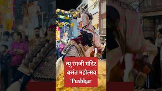 Pushkar Festival Vibes 💥pushkar viral trending [upl. by Llertac]