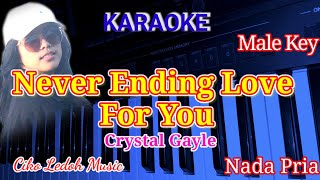 NEVER ENDING LOVE FOR YOUCrystal GayleMale KeyKARAOKE [upl. by Hootman]