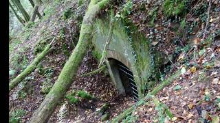 Westwall Siegfried Linie Bunker Hohlgangsystem WWII WKII [upl. by Laro840]