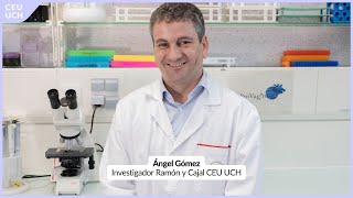 Alternativas al uso de antibióticos contra infecciones reproductivas  Ciencia CEU UCH [upl. by Gabey]