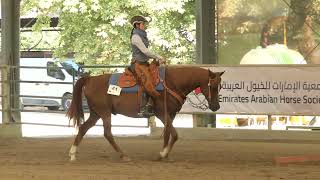 EUROPEAN CHAMPION Master Ranch Riding  GFH SAGUARO amp Lilly Huber  SEP 2024 [upl. by Eiramrebma]