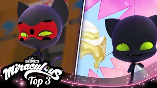 MIRACULOUS  🔝 PLAGG ☯️  SEASON 4  Tales of Ladybug amp Cat Noir [upl. by Robinette924]