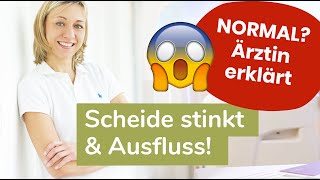 Riecht meine Scheide normal 😱 Frauenärztin über Ausfluss amp Geruch  erdbeerwoche 🍓 [upl. by Knepper]