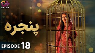 Pakistani Drama  Pinjra  Episode 18  Aplus Gold  Yumna Zaidi Nauman Aijaz  CZ1O [upl. by Ebeneser]