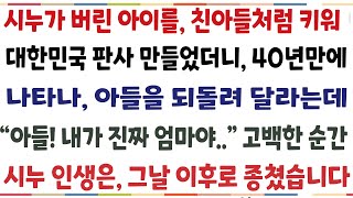 반전신청사연미혼모인 시누가 버린 아들을 친아들처럼 키워 판사만들었더니 40년만에 나타나 아들을 돌려 달라는 quot아들 내가 진짜 엄마야quot 말한순간신청사연사이디썰사연라디오 [upl. by Denni]