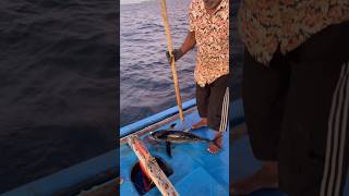 മീനിനെ ബോധം കെടുത്തിയത് കാണണോ shortsfeed malayalamfishing fishing malayalamfishingvideo fish [upl. by Reger]