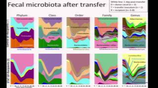 Microbiome and Obesity  Martin Blaser [upl. by Hirza929]