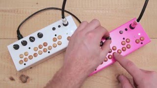 Critter amp Guitari  Bolsa Bass Demo [upl. by Leirza250]