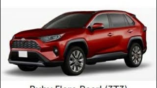 2019 Rav4 Colors [upl. by Mairym850]