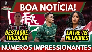 BOA NOTÍCIA PARA O FLUMINENSE  FLU TEM NÚMEROS ESPETACULARES COM CRAQUE [upl. by Eimmis980]