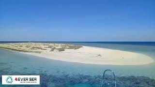 Hamata Island 🌞 Marsa Alam  Red Sea  Egypt [upl. by Alcock]