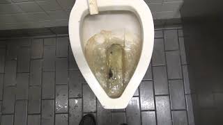 🚽 Bathroom Tour Acorn Engineering Toilet and American Standard Urinal at MARTA Station [upl. by Niala]