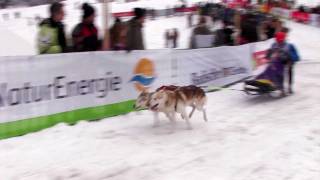 Schlittenhunderennen Todtmoos 2012 Zeitlupenstudien [upl. by Vidda475]