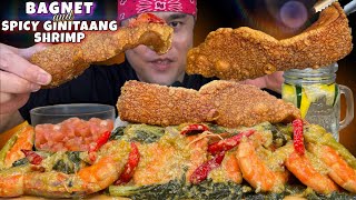 BAGNET amp SPICY GINATAANG SHRIMP MUKBANG PINOY MUKBANG [upl. by Nyliram]