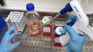 Passaging cells protocol of SKBR3 cell line [upl. by Nannarb]