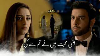 Meer Abru Best Dialogue Meer Abru Ost Status  Meer Abru Title Song Whatsapp Status  Noor Hassan [upl. by Stilu111]