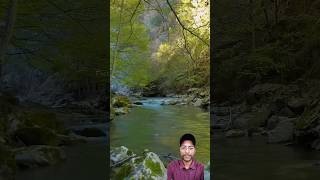 Amazon jungle kaise banaafactsamazonrainforesthorronstoryshortsvideos [upl. by Reel]