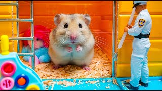 Mr Hamster Escapes the Gigantic Rainbow Balloon Maze 🐹 Hamster Maze [upl. by Imaj]