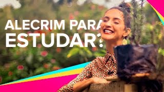 Benefícios do ALECRIM Como usar o Óleo Essencial  Karina Viega [upl. by Ringo]