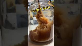 Hido Liver Făcut Acasă 👌🏼carpfishing fishing pescuitlacrap noonamecarphunter [upl. by Esaele282]