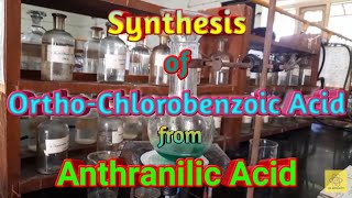 Synthesis of OrthoChlorobenzoic Acid from Anthranilic acid [upl. by Quincey]